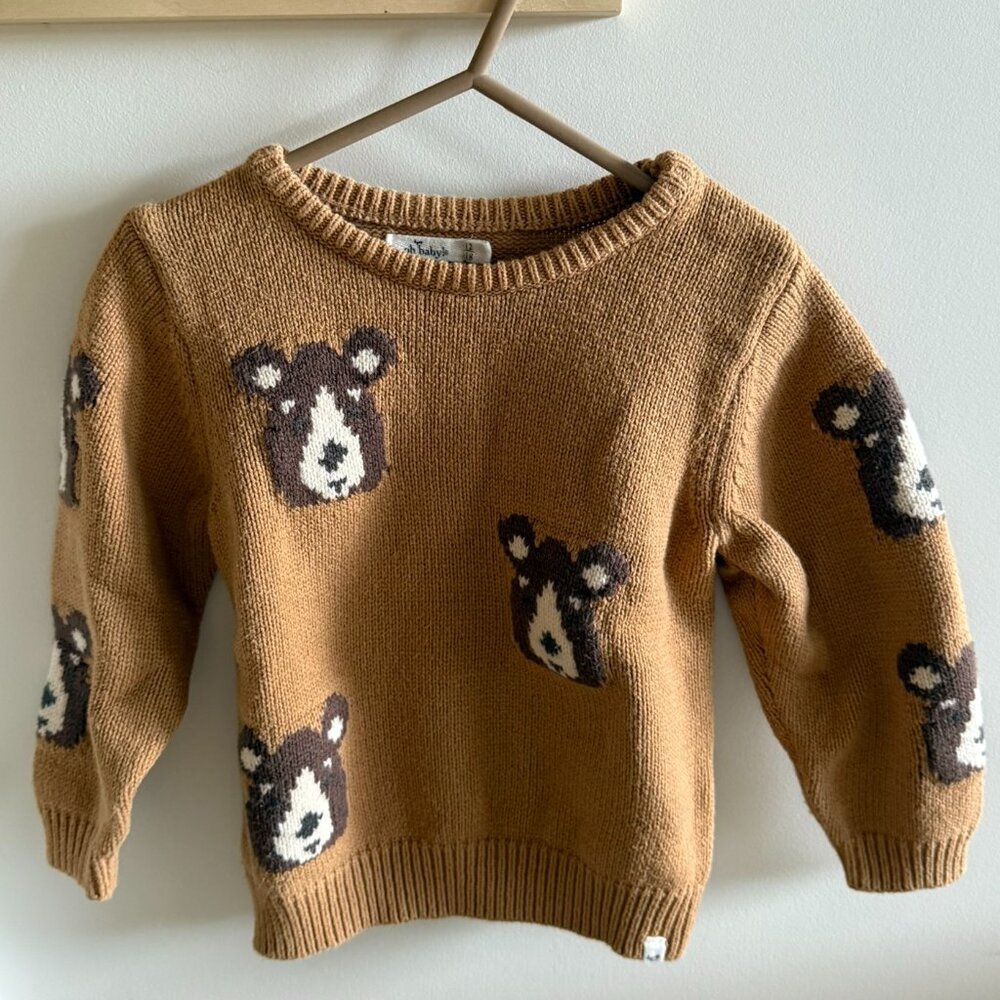 Teddy Bear Sweater